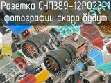 СНП389-12РО23-1 