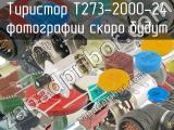 Т273-2000-24 