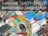 ТБИ273-2000-12 