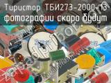 ТБИ273-2000-13 