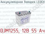 Аккумуляторная батарея LEOCH DJM1255, 12В 55 Ач 