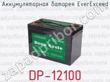 Аккумуляторная батарея EverExceed DP-12100 