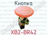 Кнопка XB2-BR42 