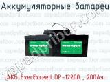 Аккумуляторные батареи АКБ EverExceed DP-12200 , 200Ач 