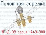 Пилотная горелка ЗГ-Д-ОВ серия 1443-300 