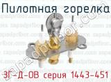 Пилотная горелка ЗГ-Д-ОВ серия 1443-451 