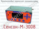 Мультигазовый переносной газоанализатор Сенсон-М-3008 