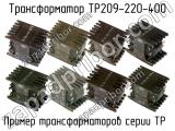 ТР209-220-400 