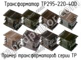 ТР295-220-400 