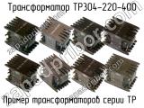 ТР304-220-400 
