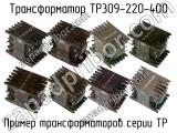 ТР309-220-400 
