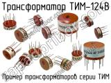 ТИМ-124В 