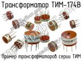 ТИМ-174В 