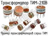 ТИМ-210В 