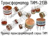 ТИМ-213В 