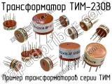 ТИМ-230В 