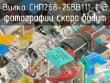 СНП268-25ВВ111-1-В 