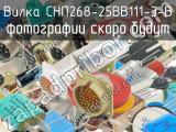 СНП268-25ВВ111-3-В 