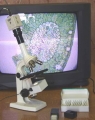 Юннат-2П-TV Микроскоп «Юннат-2П-TV» (Юннат 2П-TV, Юннат2П-TV)