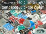 ТВО-2 100 Ом 10%