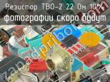 ТВО-2 22 Ом 10% 