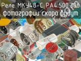 МКУ48-С РА4.500.306 