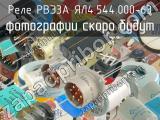 РВЭ3А ЯЛ4.544.000-63 