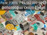 РЭВ14 РФ4.562.000-00.02