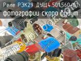 РЭК29 ДУЩ4.501.560-01 