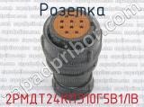 2РМДТ24КПЭ10Г5В1ЛВ фотография 2 розетки.