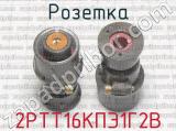 2РТТ16КПЭ1Г2В фотография 2 розетки.