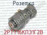 2РТТ16КПЭ1Г2В фотография 3 розетки.