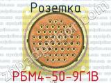 РБМ4-50-9Г1В фотография 2 розетки.
