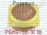 РБМ4-50-9Г1В фотография 3 розетки.