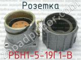 РБН1-5-19Г1-В фотография 2 розетки.
