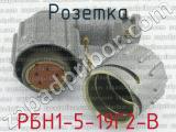 РБН1-5-19Г2-В фотография 2 розетки.
