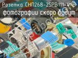 СНП268-25РВ111-4-В 