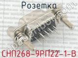 СНП268-9РП22-1-В фотография 2 розетки.