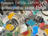 СНП306-48РН11-24-В 