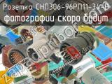 СНП306-96РП11-34-В 