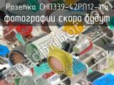 СНП339-42РП12-11а 