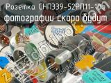 СНП339-52РП11-10а 