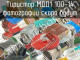 МДД1 100-14 