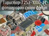 Т253-1000-17 