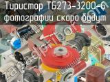 ТБ273-3200-6 