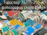 ТБ371-250-4