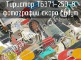 ТБ371-250-8