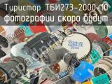 ТБИ273-2000-10 