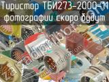 ТБИ273-2000-11 