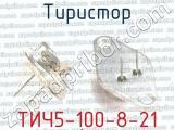 ТИЧ5-100-8-21 